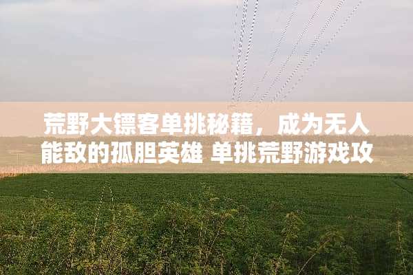 荒野大镖客单挑秘籍，成为无人能敌的孤胆英雄 单挑荒野游戏攻略