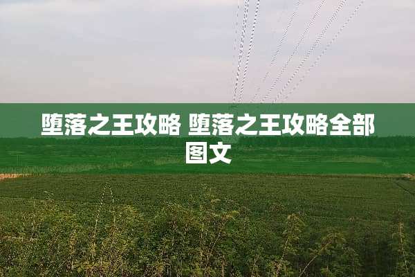 **之王攻略**之王攻略全部图文