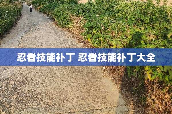 忍者技能补丁 忍者技能补丁大全