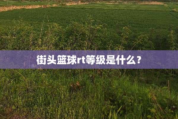 街头篮球rt等级是什么？