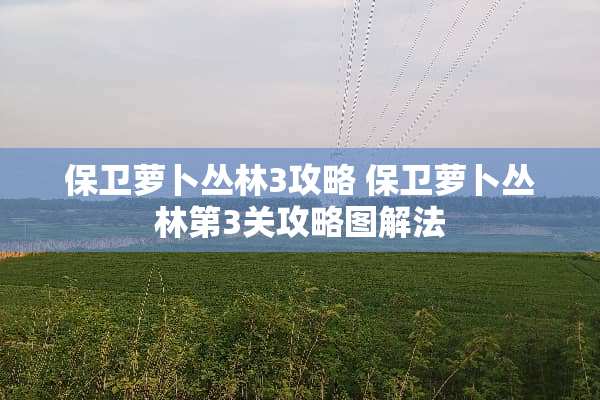 保卫萝卜丛林3攻略 保卫萝卜丛林第3关攻略图解法