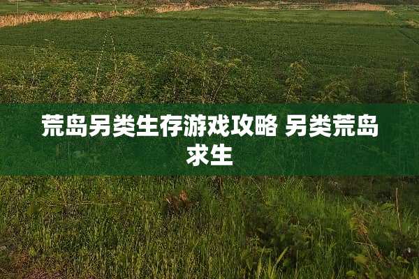 荒岛另类生存游戏攻略 另类荒岛求生 荒岛另类生存游戏攻略 另类荒岛求生