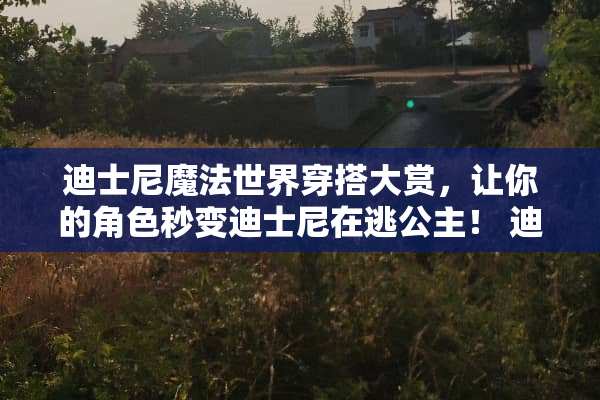 迪士尼魔法世界穿搭大赏，让你的角色秒变迪士尼在逃公主！ 迪士尼穿搭攻略游戏