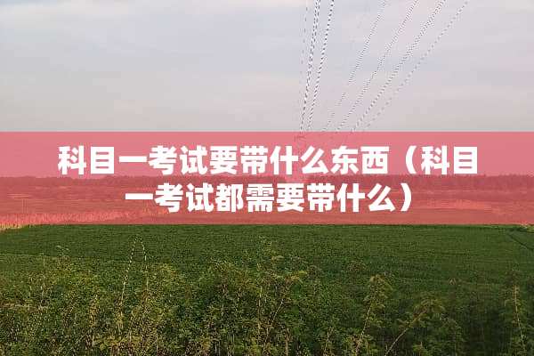 科目一考试要带什么东西(科目一考试都需要带什么) 科目一考试要带什么东西(科目一考试都需要带什么)