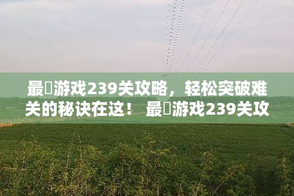 最囧游戏239关攻略，轻松突破难关的秘诀在这！ 最囧游戏239关攻略