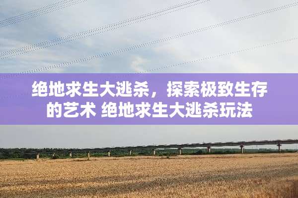 绝地求生大逃杀，探索极致生存的艺术 绝地求生大逃杀玩法