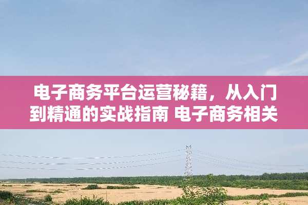 电子商务平台运营秘籍，从入门到精通的实战指南 电子商务相关技能
