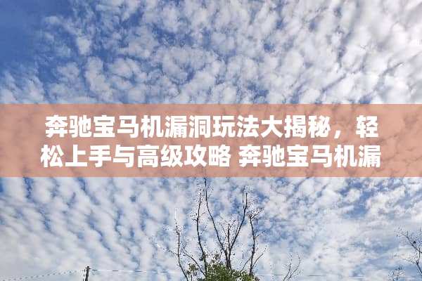 奔驰宝马机漏洞玩法大揭秘,轻松上手与高级攻略 奔驰宝马机漏洞玩法 奔驰宝马机漏洞玩法大揭秘,轻松上手与高级攻略 奔驰宝马机漏洞玩法