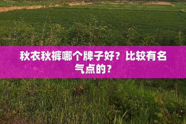 秋衣秋裤哪个牌子好？比较有名气点的？