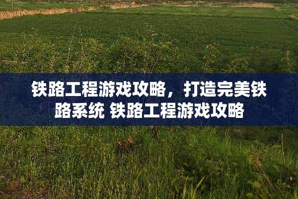 铁路工程游戏攻略，打造完美铁路系统 铁路工程游戏攻略