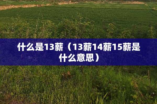 什么是13薪(13薪14薪15薪是什么意思) 什么是13薪(13薪14薪15薪是什么意思)