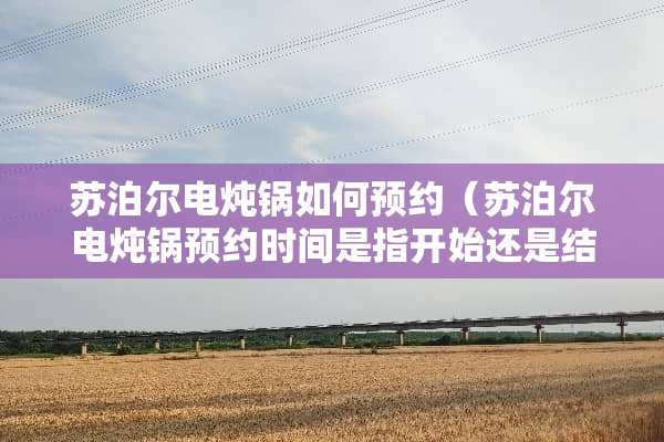 苏泊尔电炖锅如何预约(苏泊尔电炖锅预约时间是指开始还是结束) 苏泊尔电炖锅如何预约(苏泊尔电炖锅预约时间是指开始还是结束)