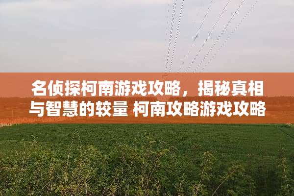 名侦探柯南游戏攻略,揭秘**与智慧的较量 柯南攻略游戏攻略 名侦探柯南游戏攻略,揭秘**与智慧的较量 柯南攻略游戏攻略