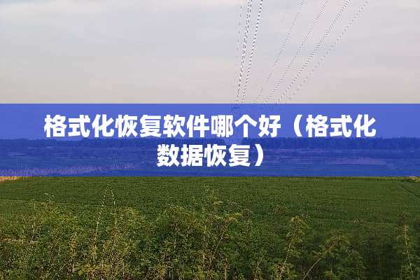 格式化恢复软件哪个好(格式化数据恢复) 格式化恢复软件哪个好(格式化数据恢复)