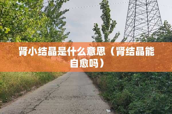 肾小结晶是什么意思(肾结晶能自愈吗) 肾小结晶是什么意思(肾结晶能自愈吗)