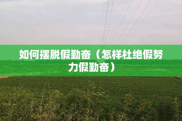 如何摆脱假勤奋（怎样杜绝假努力假勤奋）