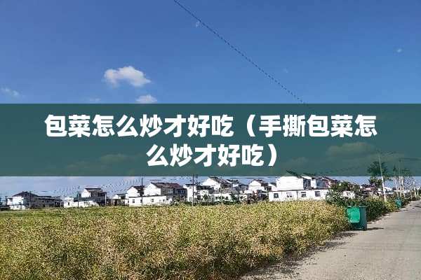 包菜怎么炒才好吃(手撕包菜怎么炒才好吃) 包菜怎么炒才好吃(手撕包菜怎么炒才好吃)
