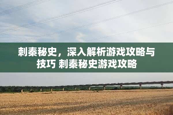 刺秦秘史，深入解析游戏攻略与技巧 刺秦秘史游戏攻略