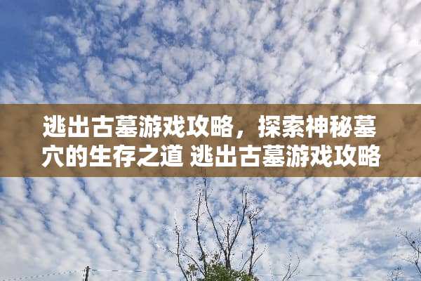 逃出古墓游戏攻略，探索神秘墓*的生存之道 逃出古墓游戏攻略