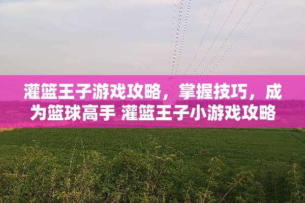 灌篮王子游戏攻略，掌握技巧，成为篮球高手 灌篮王子小游戏攻略
