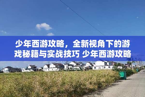 少年西游攻略，全新视角下的游戏秘籍与实战技巧 少年西游攻略