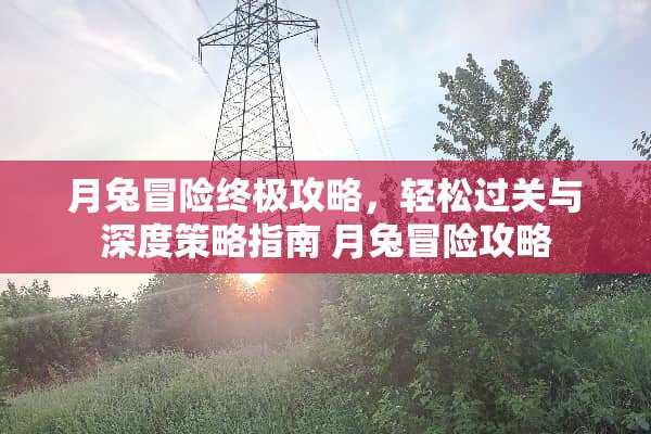 月兔冒险终极攻略,轻松过关与深度策略指南 月兔冒险攻略 月兔冒险终极攻略,轻松过关与深度策略指南 月兔冒险攻略