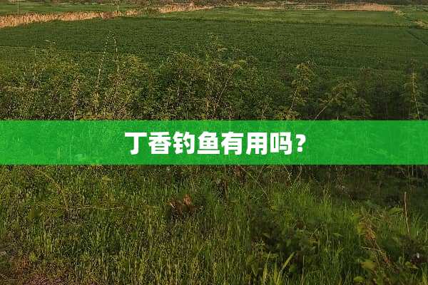 **钓鱼有用吗？