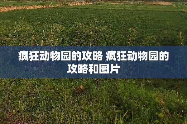 疯狂动物园的攻略 疯狂动物园的攻略和图片