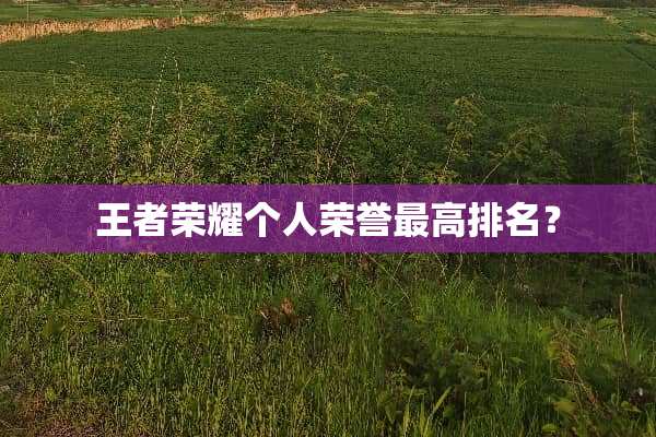 王者荣耀个人荣誉最高排名？