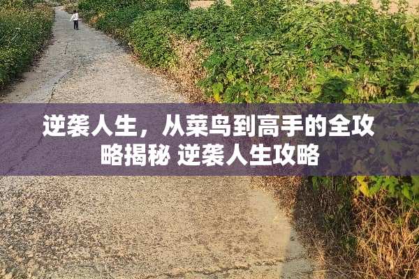 逆袭人生,从菜鸟到高手的全攻略揭秘 逆袭人生攻略 逆袭人生,从菜鸟到高手的全攻略揭秘 逆袭人生攻略