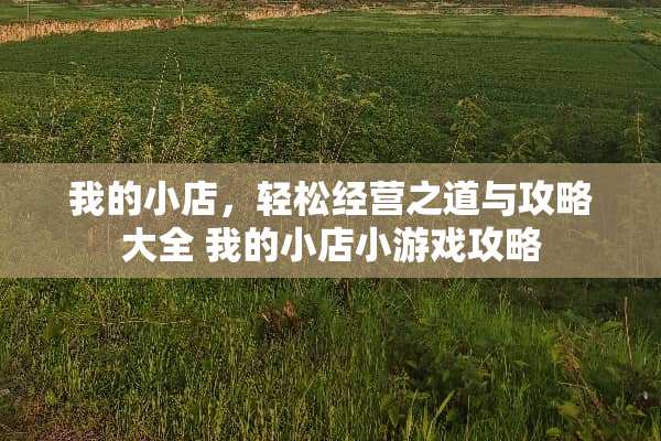我的小店,轻松经营之道与攻略大全 我的小店小游戏攻略 我的小店,轻松经营之道与攻略大全 我的小店小游戏攻略