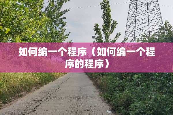 如何编一个程序(如何编一个程序的程序) 如何编一个程序(如何编一个程序的程序)