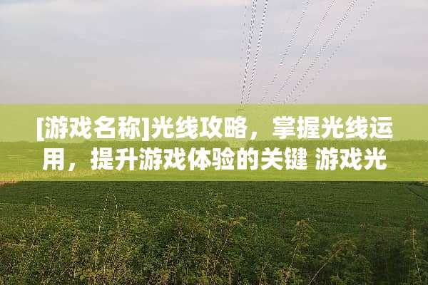 [游戏名称]光线攻略，掌握光线运用，提升游戏体验的关键 游戏光线攻略