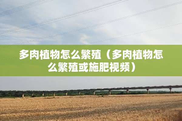 多肉植物怎么繁殖(多肉植物怎么繁殖或施肥视频) 多肉植物怎么繁殖(多肉植物怎么繁殖或施肥视频)