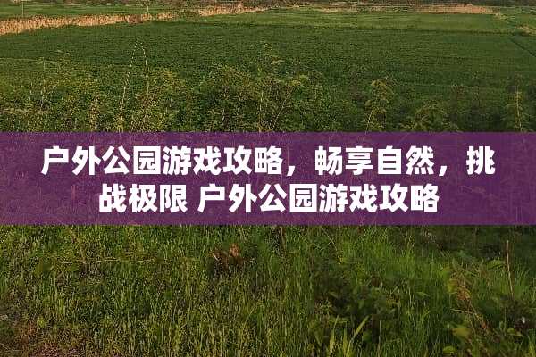 户外公园游戏攻略,畅享自然,挑战极限 户外公园游戏攻略 户外公园游戏攻略,畅享自然,挑战极限 户外公园游戏攻略