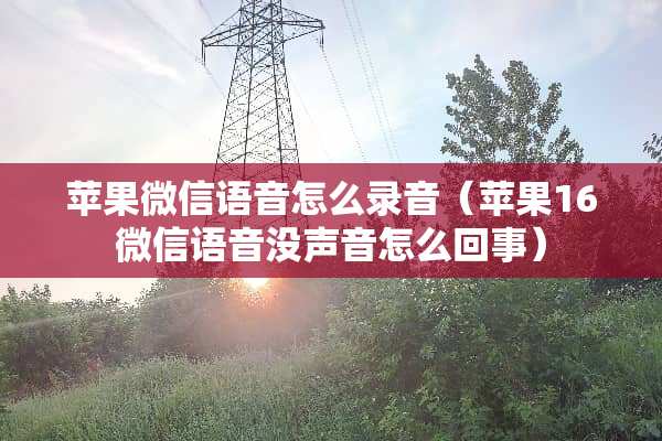 苹果微信语音怎么录音(苹果16微信语音没声音怎么回事) 苹果微信语音怎么录音(苹果16微信语音没声音怎么回事)