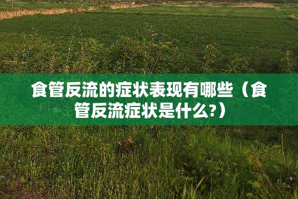 食管反流的症状表现有哪些（食管反流症状是什么?）