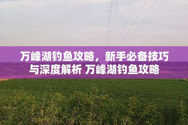 万峰湖钓鱼攻略,新手必备技巧与深度解析 万峰湖钓鱼攻略 万峰湖钓鱼攻略,新手必备技巧与深度解析 万峰湖钓鱼攻略