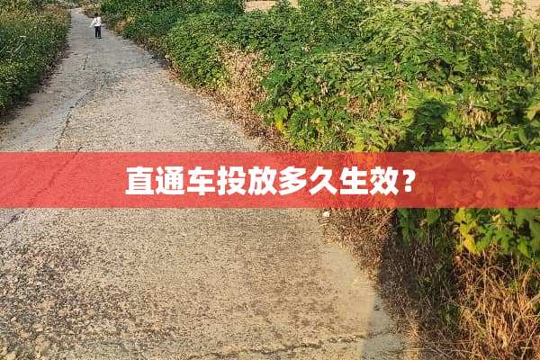 直通车投放多久生效？