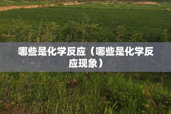 哪些是化学反应(哪些是化学反应现象) 哪些是化学反应(哪些是化学反应现象)