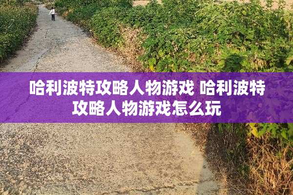 哈利波特攻略人物游戏 哈利波特攻略人物游戏怎么玩