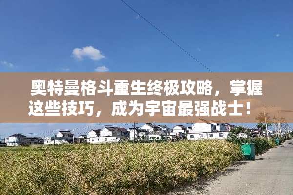 奥特曼格斗重生终极攻略，掌握这些技巧，成为宇宙最强战士！ 奥特曼格斗重生攻略