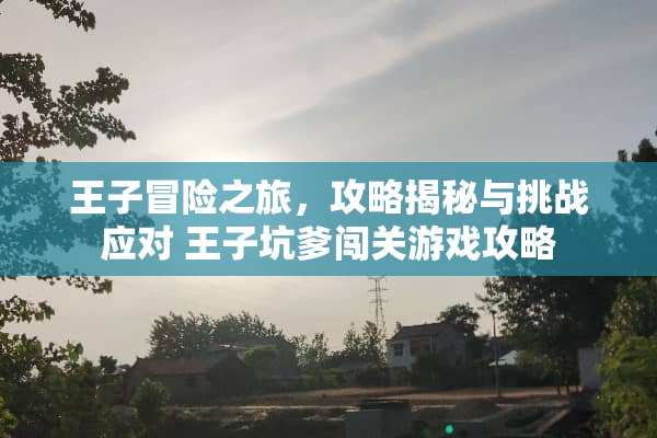 王子冒险之旅，攻略揭秘与挑战应对 王子坑爹闯关游戏攻略