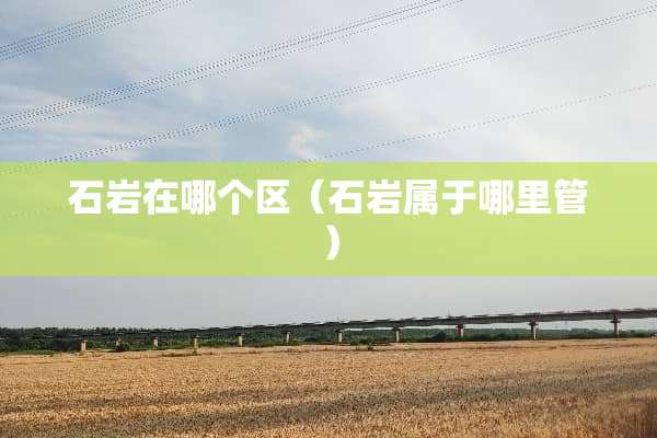 石岩在哪个区(石岩属于哪里管)