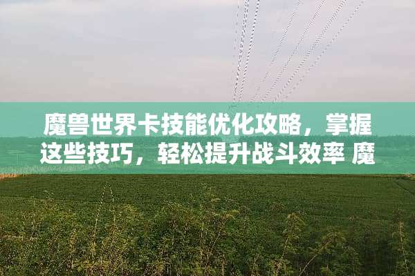 魔兽世界卡技能优化攻略,掌握这些技巧,轻松提升战斗效率 魔兽世界卡技能 魔兽世界卡技能优化攻略,掌握这些技巧,轻松提升战斗效率 魔兽世界卡技能