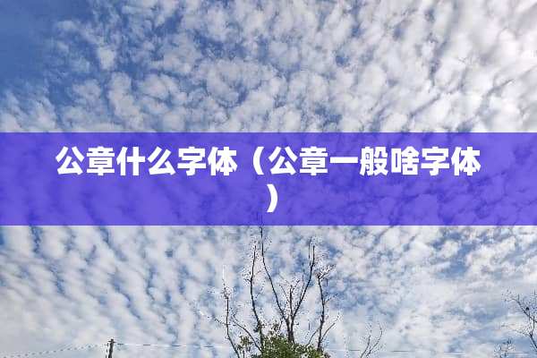 公章什么字体(公章一般啥字体) 公章什么字体(公章一般啥字体)