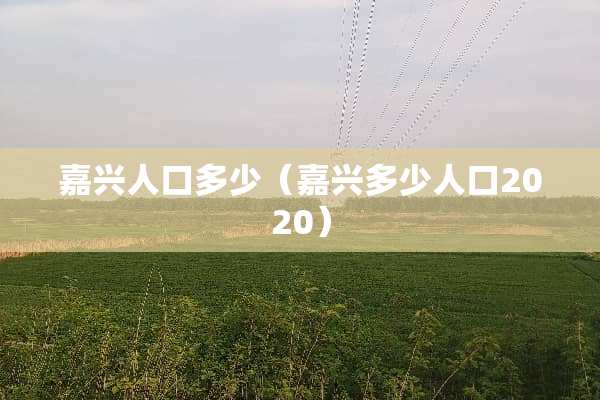 嘉兴人口多少（嘉兴多少人口2020）
