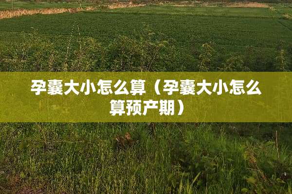 孕囊大小怎么算(孕囊大小怎么算预产期) 孕囊大小怎么算(孕囊大小怎么算预产期)