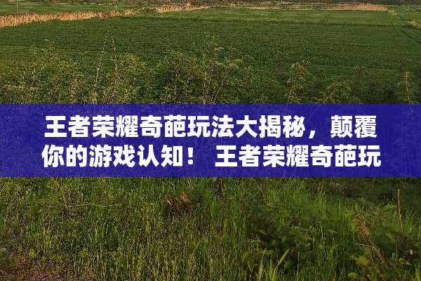 王者荣耀奇葩玩法大揭秘,颠覆你的游戏认知! 王者荣耀奇葩玩法 王者荣耀奇葩玩法大揭秘,颠覆你的游戏认知! 王者荣耀奇葩玩法