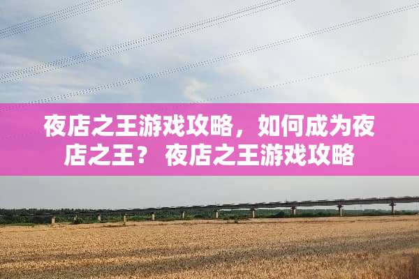 夜店之王游戏攻略,如何成为夜店之王? 夜店之王游戏攻略 夜店之王游戏攻略,如何成为夜店之王? 夜店之王游戏攻略